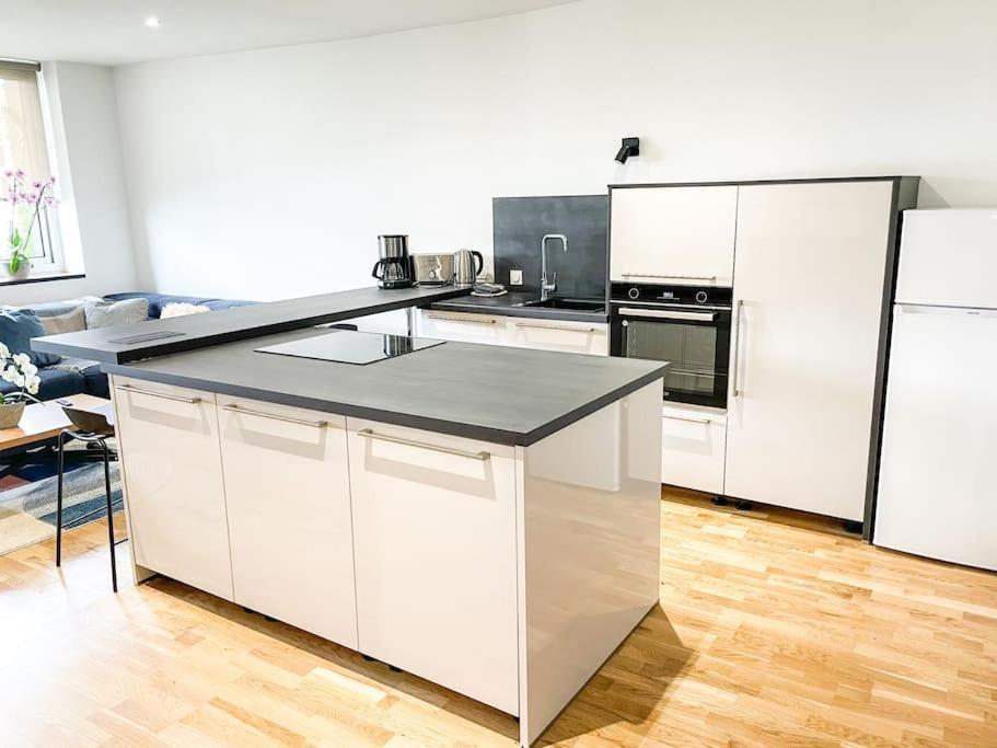 Appartement Cote Jardin - Centre アランソン エクステリア 写真