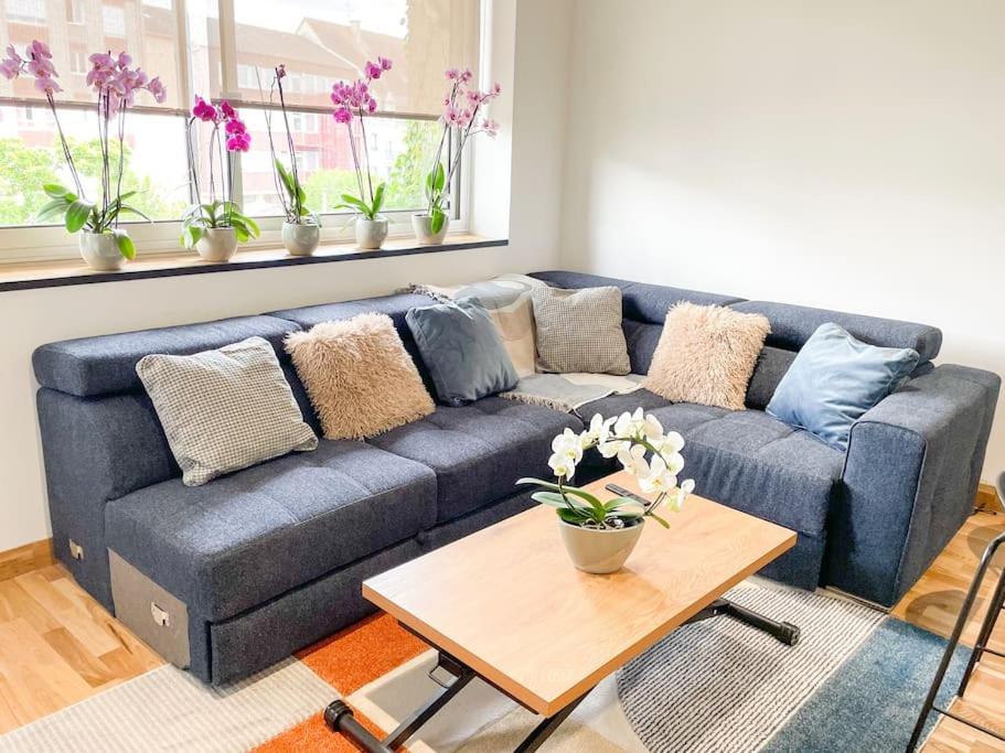 Appartement Cote Jardin - Centre アランソン エクステリア 写真